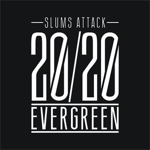 20/20 Evergreen