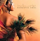 Acoustic Soul