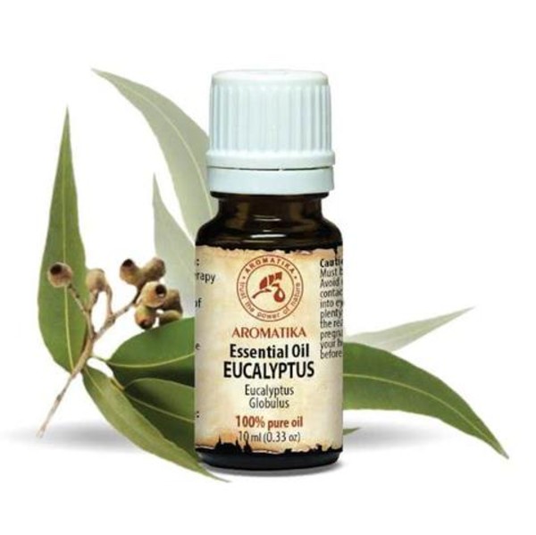 100% Pure Oil Eucalyptus olejek eteryczny