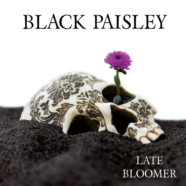 Late Bloomer (vinyl)