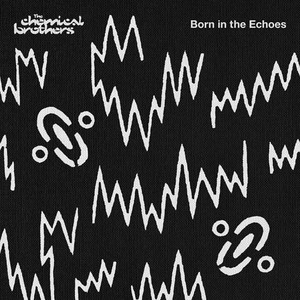 Born in the Echoes (vinyl)