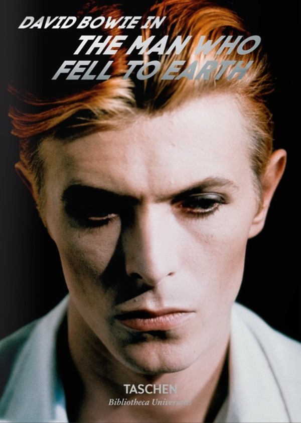 Bowie Man Who Fell to Earth