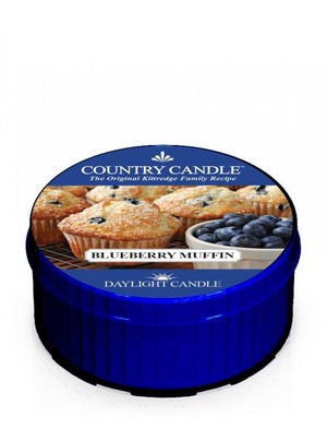 Blueberry Muffin - Daylight