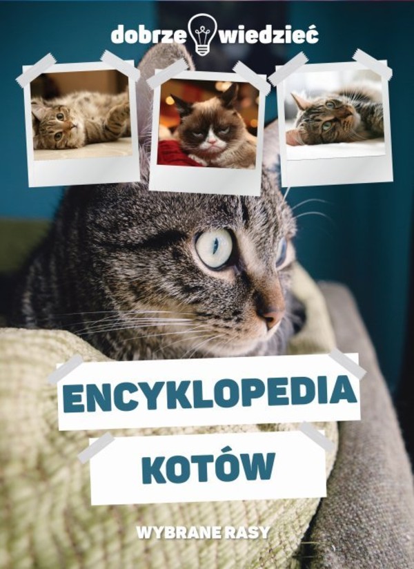Encyklopedia kotów Dobrze wiedzieć