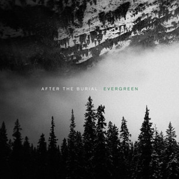 Evergreen (vinyl)