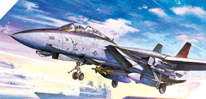 F-14A Bombcat Skala 1:48