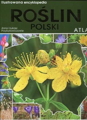 Ilustrowana encyklopedia roślin Polski. Atlas