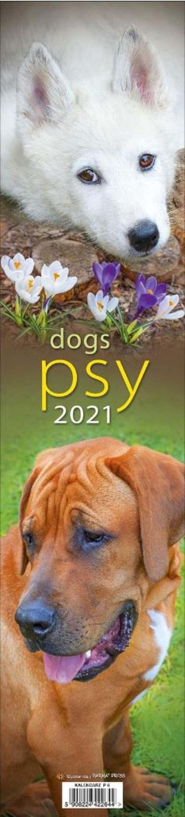 Kalendarz 2021 paskowy Psy