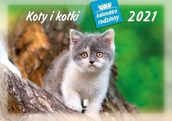 Kalendarz ścienny 2021 Koty i kotki