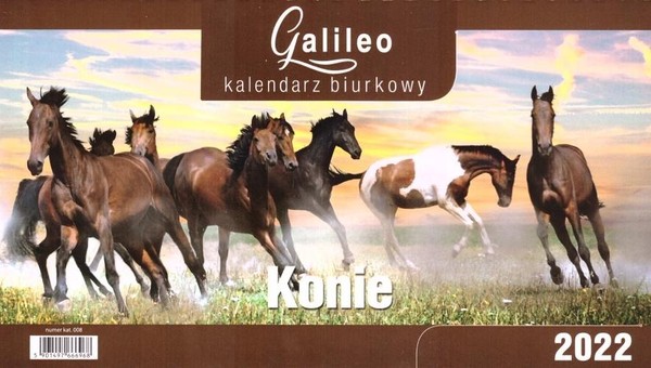 Kalendarz 2022 Biurkowy Galileo Konie