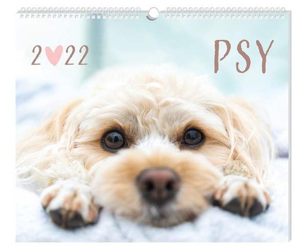 Kalendarz 2022 planszowy Psy