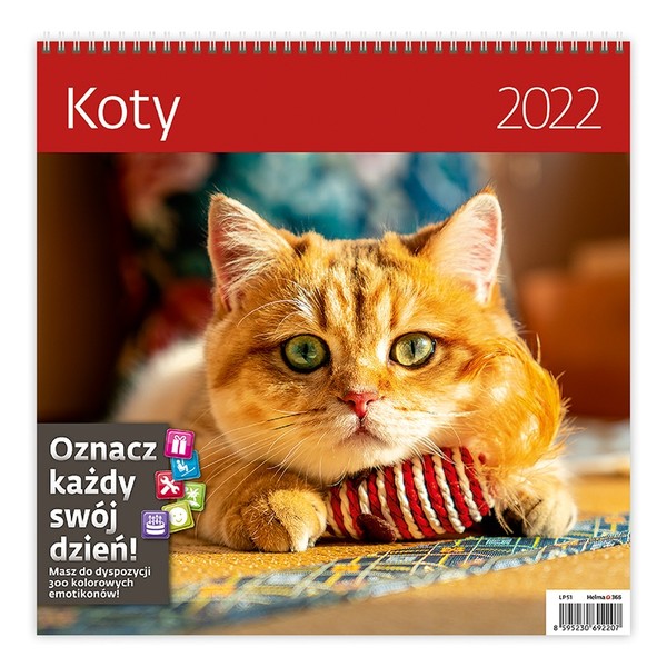 Kalendarz 2022 z naklejkami Koty