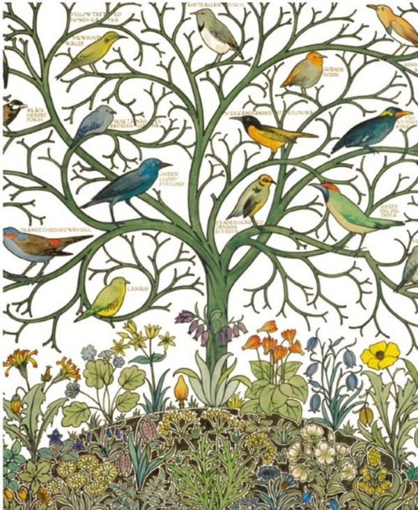 Karnet z kopertą Birds of Many Climes textile design 17x14cm