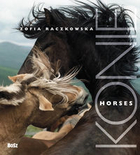 Konie / Horses
