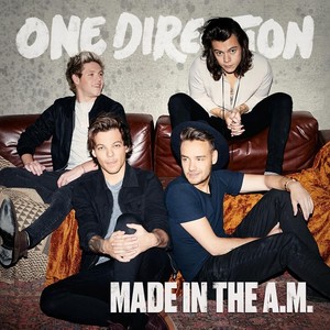 Made In The A.M. (vinyl)