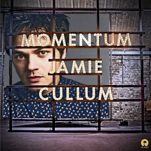 Momentum (vinyl)