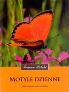 Motyle dzienne Fauna Polski
