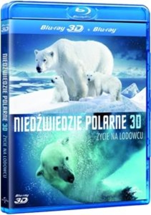 Niedźwiedzie polarne 3D