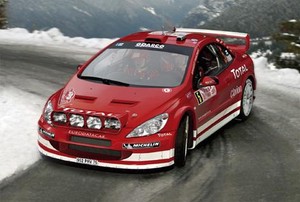 Peugeot 307 WRC 2004 Skala 1:24