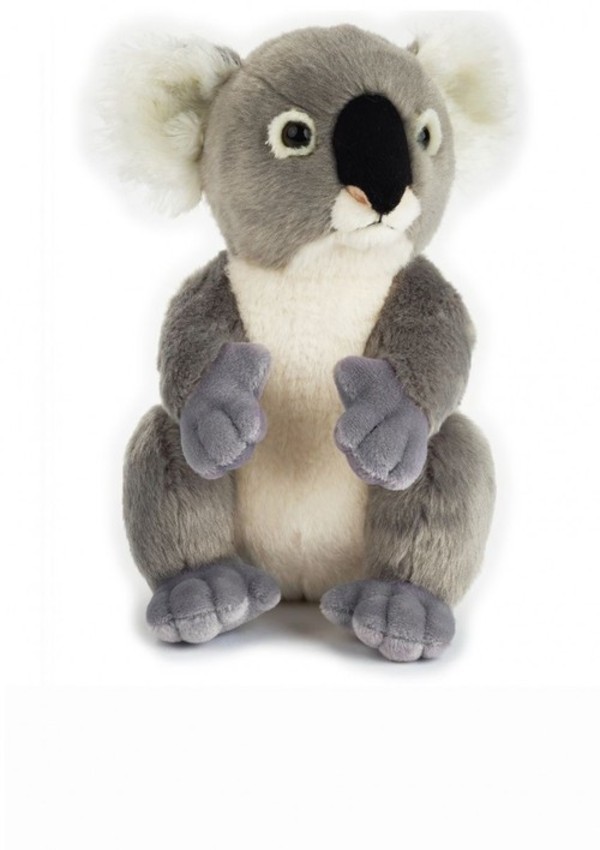 Maskotka Koala