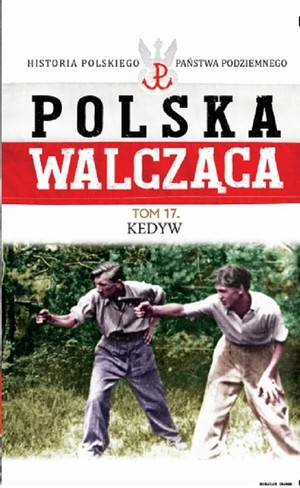 Polska Walcząca Kedyw. Tom 17