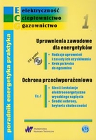 Poradnik energetyka praktyka Zeszyt 1 + CD