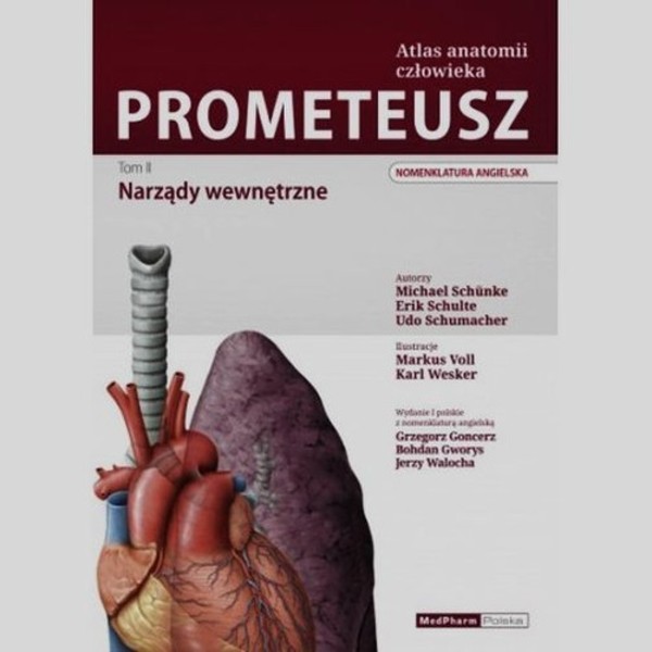 Prometeusz Atlas Anatomii Człowieka Tom 2 Narządy wewnętrzne