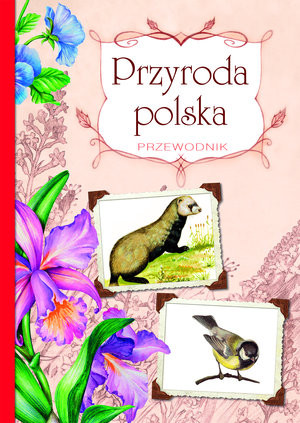 Przyroda polska Przewodnik