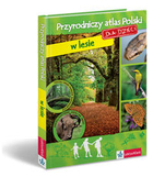 Przyrodniczy atlas Polski dla dzieci w lesie