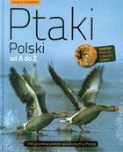 Ptaki Polski Od A do Z