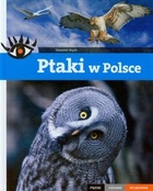 Ptaki w Polsce Piękne