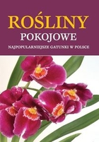 Rośliny pokojowe Najpopularniejsze gatunki w Polsce