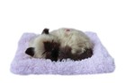 Pluszak Śpiący kotek na poduszce