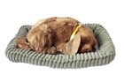 Maskotka Śpiący pies na poduszce - Golden Retriever