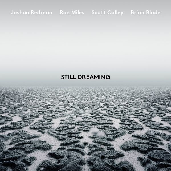 Still Dreaming (vinyl)