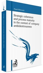 Strategic coherence and process maturity in the context of company ambidextrousness