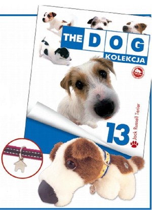The dog Kolekcja 13
