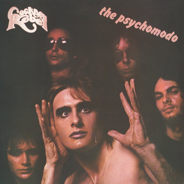 The Psychomodo (vinyl)