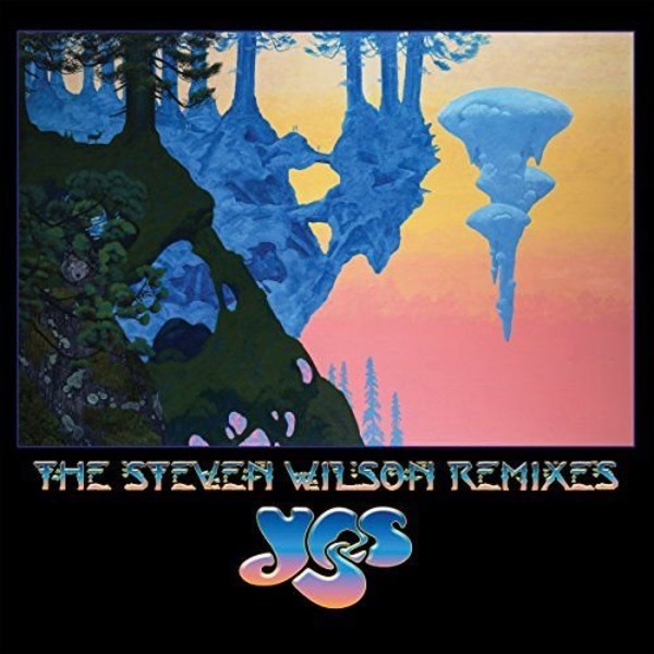 The Steven Wilson Remixes (vinyl) (Box)