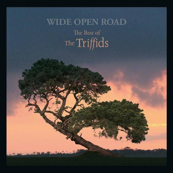 Wide Open Road The Best Of The Triffids