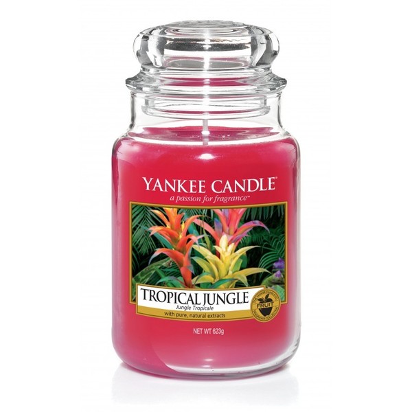 Tropical Jungle Duża świeca zapachowa w słoiku