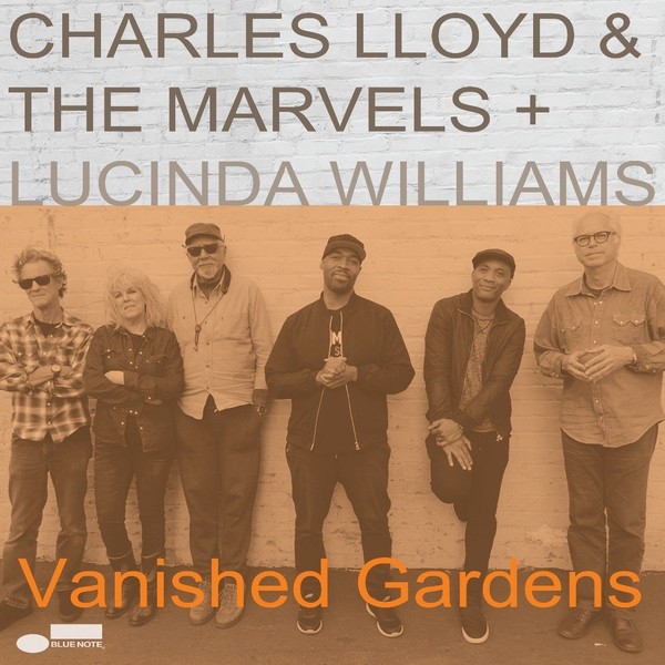 Vanished Gardens (vinyl)