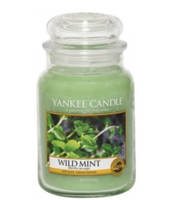 Wild Mint Duża świeca zapachowa w słoiku