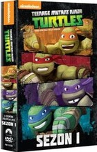 Wojownicze Żółwie Ninja Sezon 1