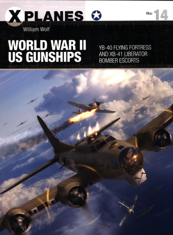 World War II US Gunships