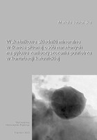 Wskaźnikowe składniki mineralne w tkance płucnej osób narażonych na pyłowe zanieczyszczenia powietrza w konurbacji katowickiej - 05 Wnioski, Literatura