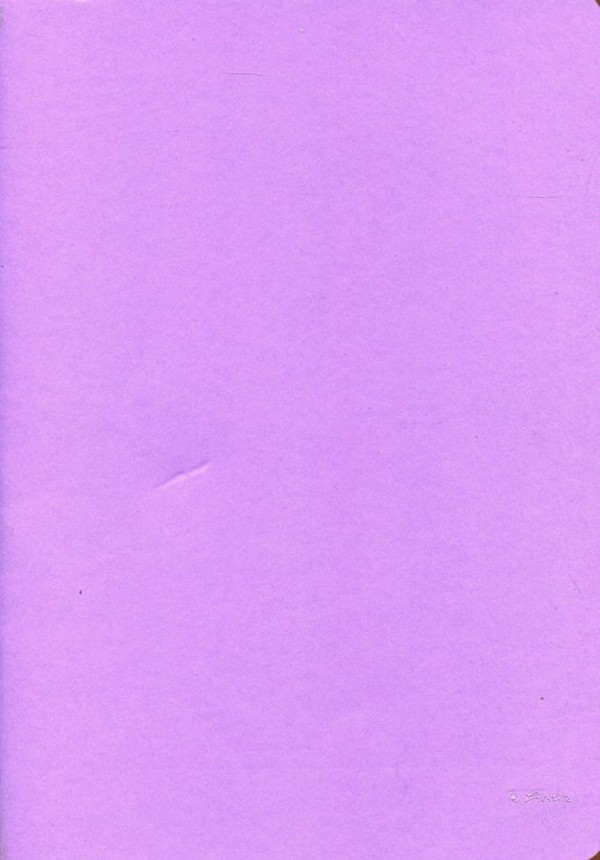 Zeszyt A4 96 kartek w kratkę Rainbow fioletowy mix