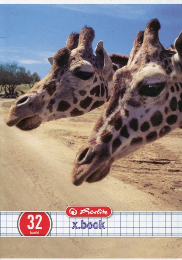 Zeszyt A5 x.book w kratkę 32 kartki Animals 10 sztuk