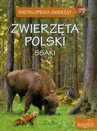 Zwierzęta Polski Ssaki Encyklopedia zwierząt